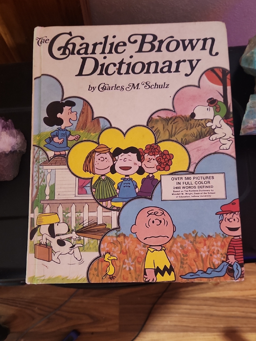 The Charlie Brown Dictionary - White Illustrated Kids Book